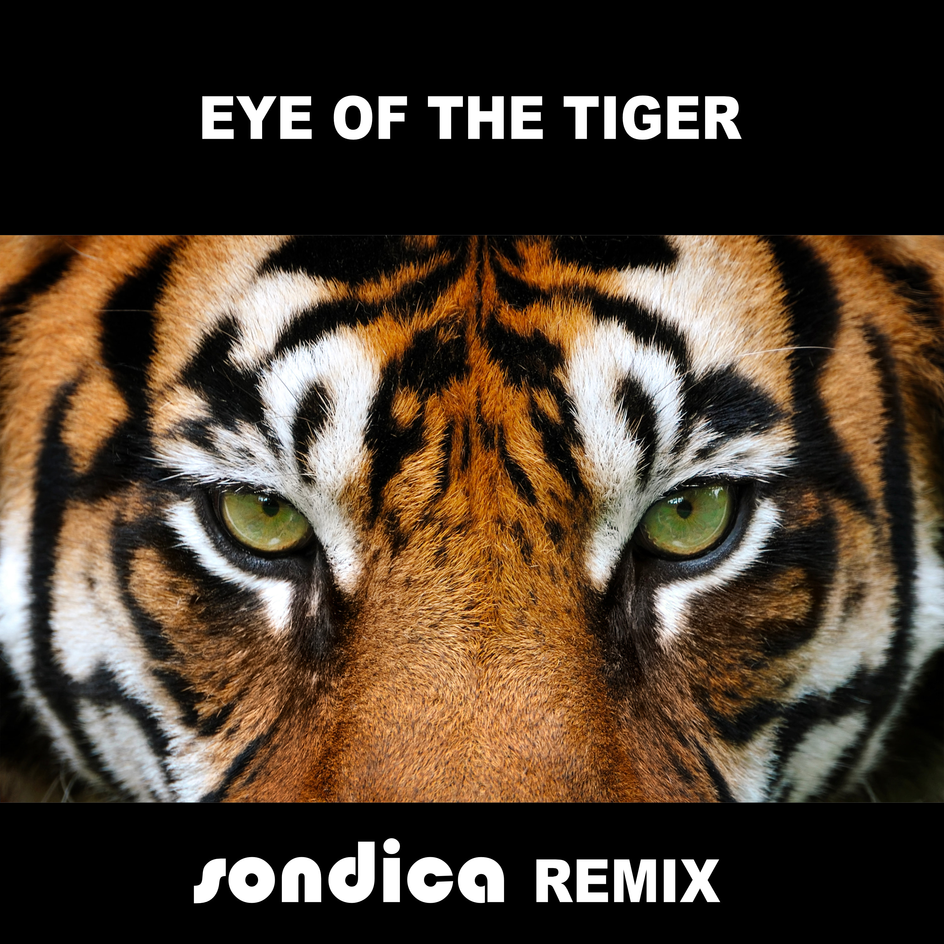 Eye of the tiger (Sondica Remix)